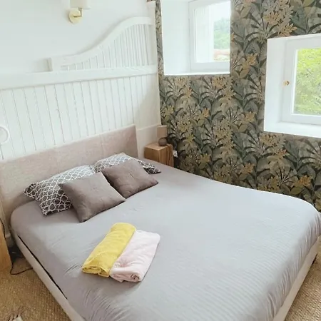 Pilat - T2 Renove Dans Des Anciennes Ecuries Apartment Saint-Galmier
